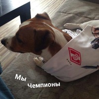 Влад Ибрагимов
