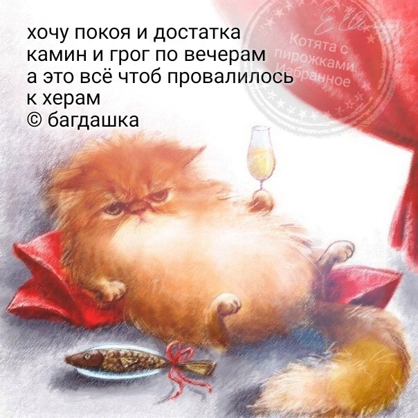 https://pp.userapi.com/c637529/v637529244/37fe5/eEOLBI4e0IM.jpg