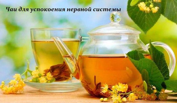 Чаи для успокоения нервной системы 