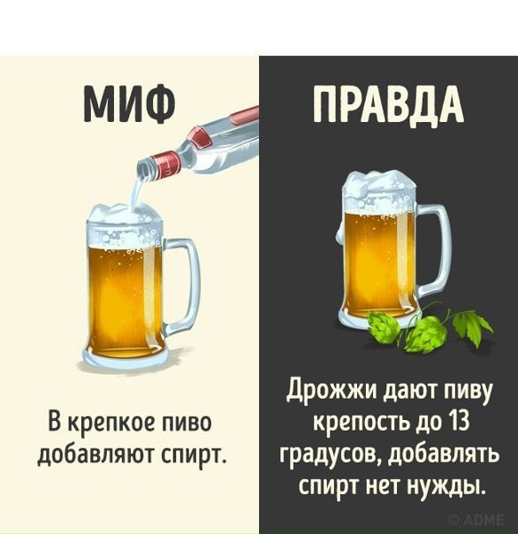 10 мифов о популярных напитках, которые можно смело забыть