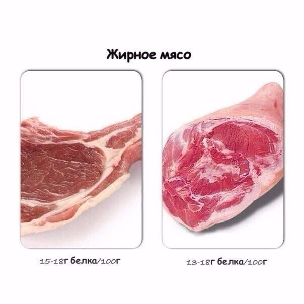 Источники белка, это стоит сохранить 