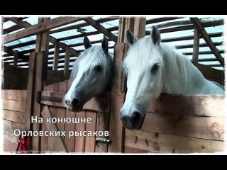 На конюшне ОРЛОВСКИХ РЫСАКОВ | Парк Сокольники | Sokolniki Park |