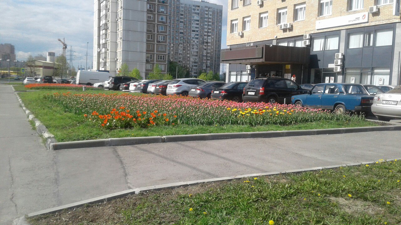 CeFg8geHVl8.jpg