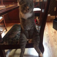 Сергей Кусков | Горно-Алтайск