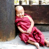 Александр Сергеев