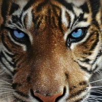 Ирина Рыбникова | 