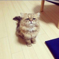 Никита Фролов