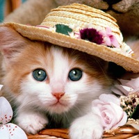 Алёна Осипова | Санкт-Петербург