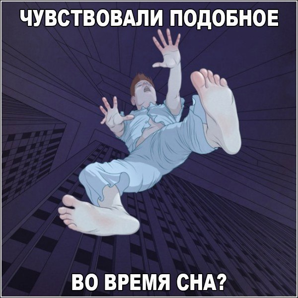 Прогноз матча витязь сочи хоккей Прогноз матча витязь сочи хоккей