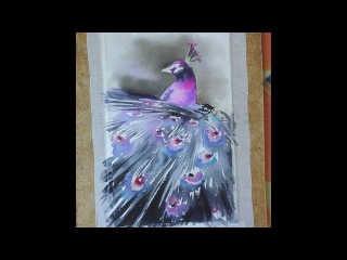 Картина акварелью. Павлин. Этапы.