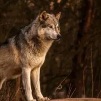 Денис Плеханов | Санкт-Петербург