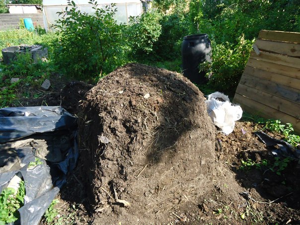 фотография из вКонтакте