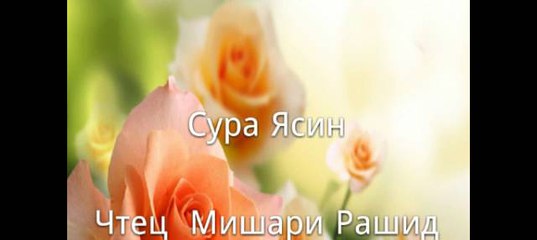 Сура ясин мишари рашид