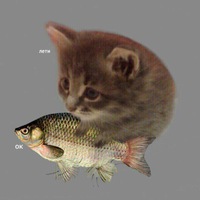 Максим Смирнов