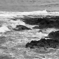 Татьяна Шмидт