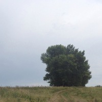 Станислав Кузнецов