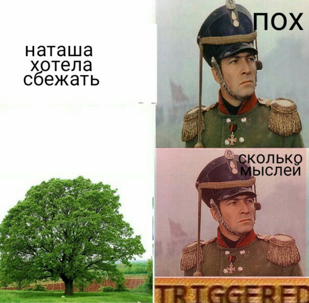 https://pp.userapi.com/c637630/v637630874/4cd52/wraeVe5J5Zs.jpg