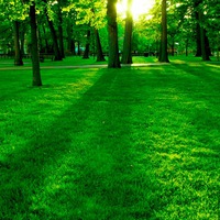 Ольга Сидоркина |