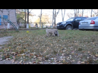 MVI_2878 ЯЖЕНА и ЛИЛЯ
