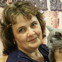 Елена Тарасова