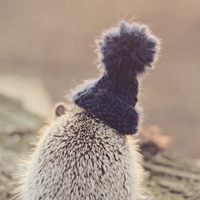 Надежда Новожилова