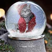 Алина Галимова | Челябинск