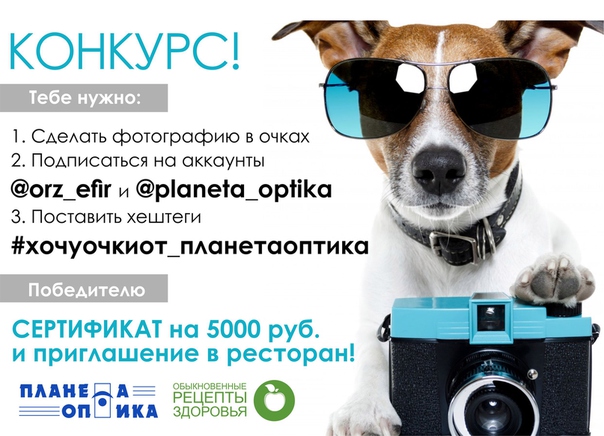 Всероссийский конкурс Экономист года 2016 Виза в Россию: приглашения для иностранцев, оформление виз