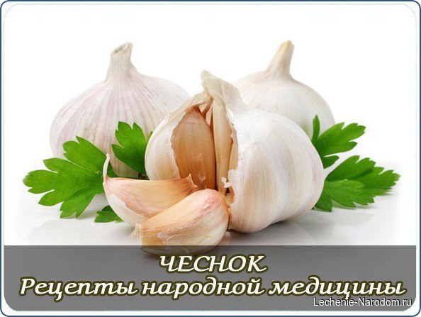 Чеснок. Рецепты народной медицины