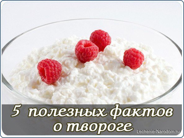 5 ПОЛЕЗНЫХ ФАКТОВ ПРО ТВОРОГ.