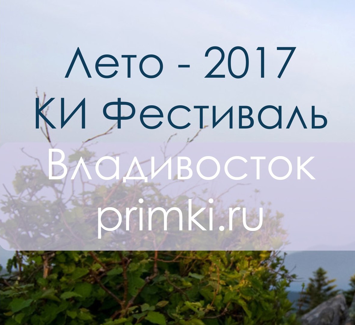Афиша Владивосток ЛЕТНИЙ КОНТАКТНЫЙ ФЕСТИВАЛЬ / 2017