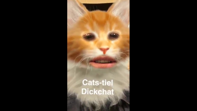 Cat-stiel