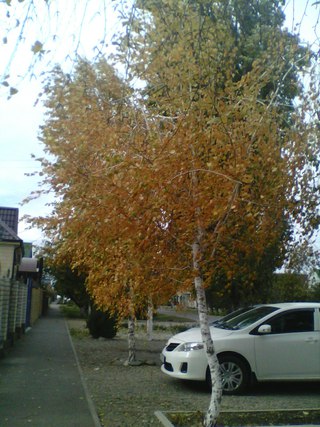 Учебник По Кубановедению 4 Класс Науменко Матвеева