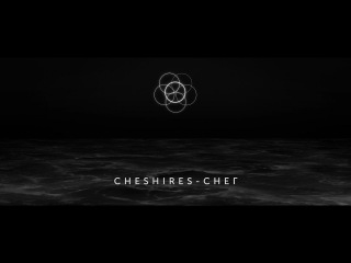 Cheshires - Снег