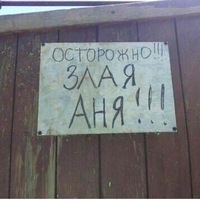 Анна Косарева