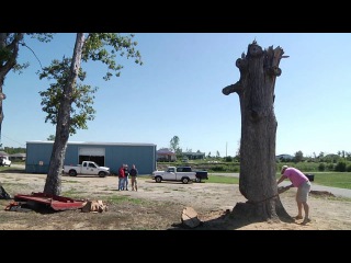 Design from Destruction - Robin Wade Creates the