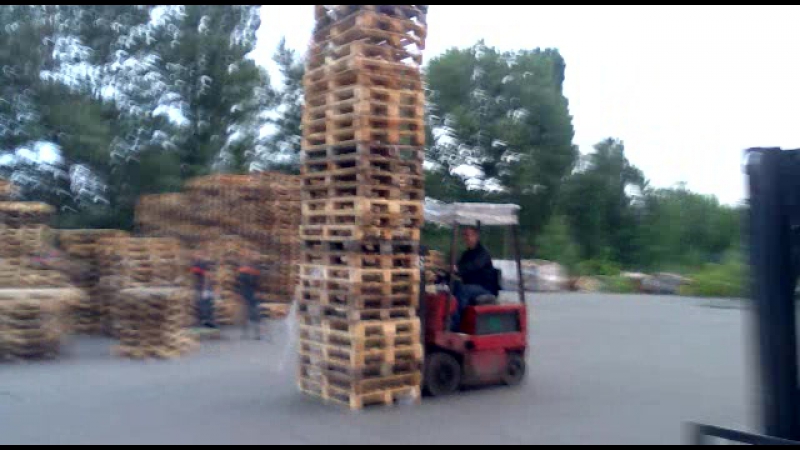 фоззи гонит
