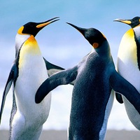 Катя Сапожникова | 