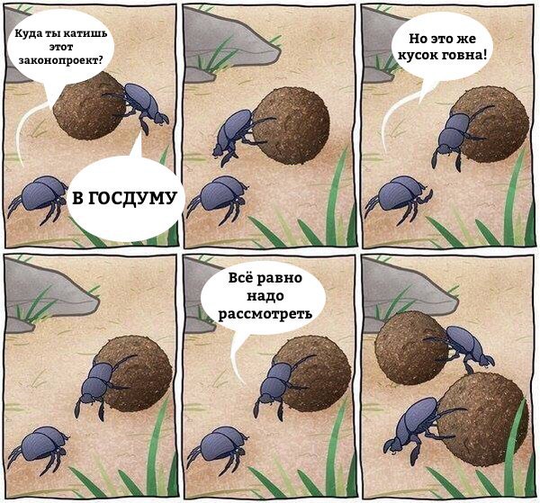 jKygAQSafMw.jpg