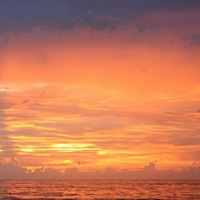 Виктория Кондрашова |