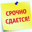 Объявление от Полина - фото №1