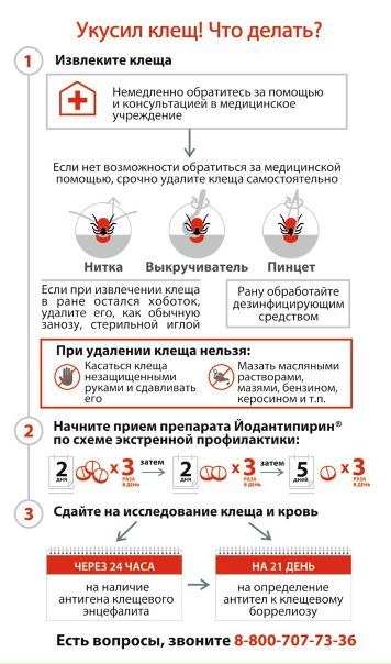 Друзья! Активный сезон в разгаре. 
