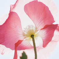 Татьяна Скляр | 