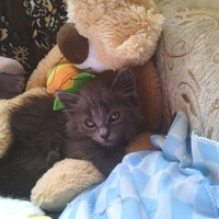 Ирина Павлюкова | Минск