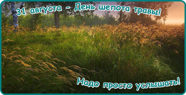 https://pp.userapi.com/c637824/v637824409/adc5/dCfWGyyLkb4.jpg