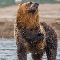 Сергей Логвинов | 