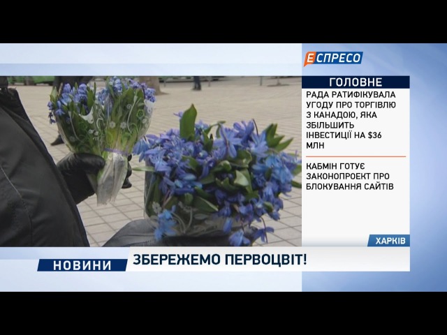 Збережемо первоцвіт!