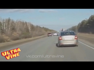 Добадались бараны