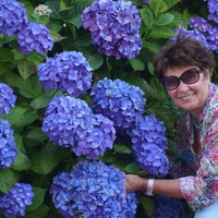 Елена Борнякова