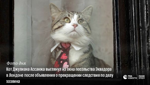 #РИА_ФотоДня