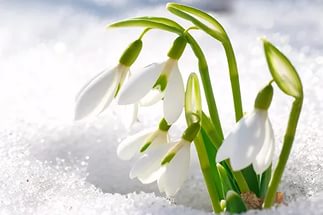 https://pp.userapi.com/c637923/v637923300/35eee/QZfPzIxUP94.jpg